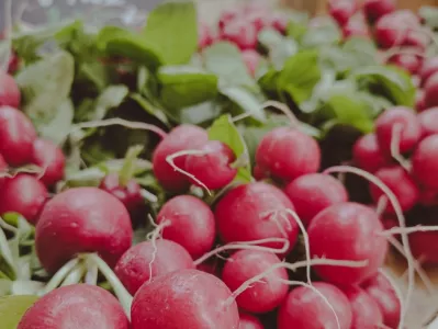 les Vendeurs De Salades